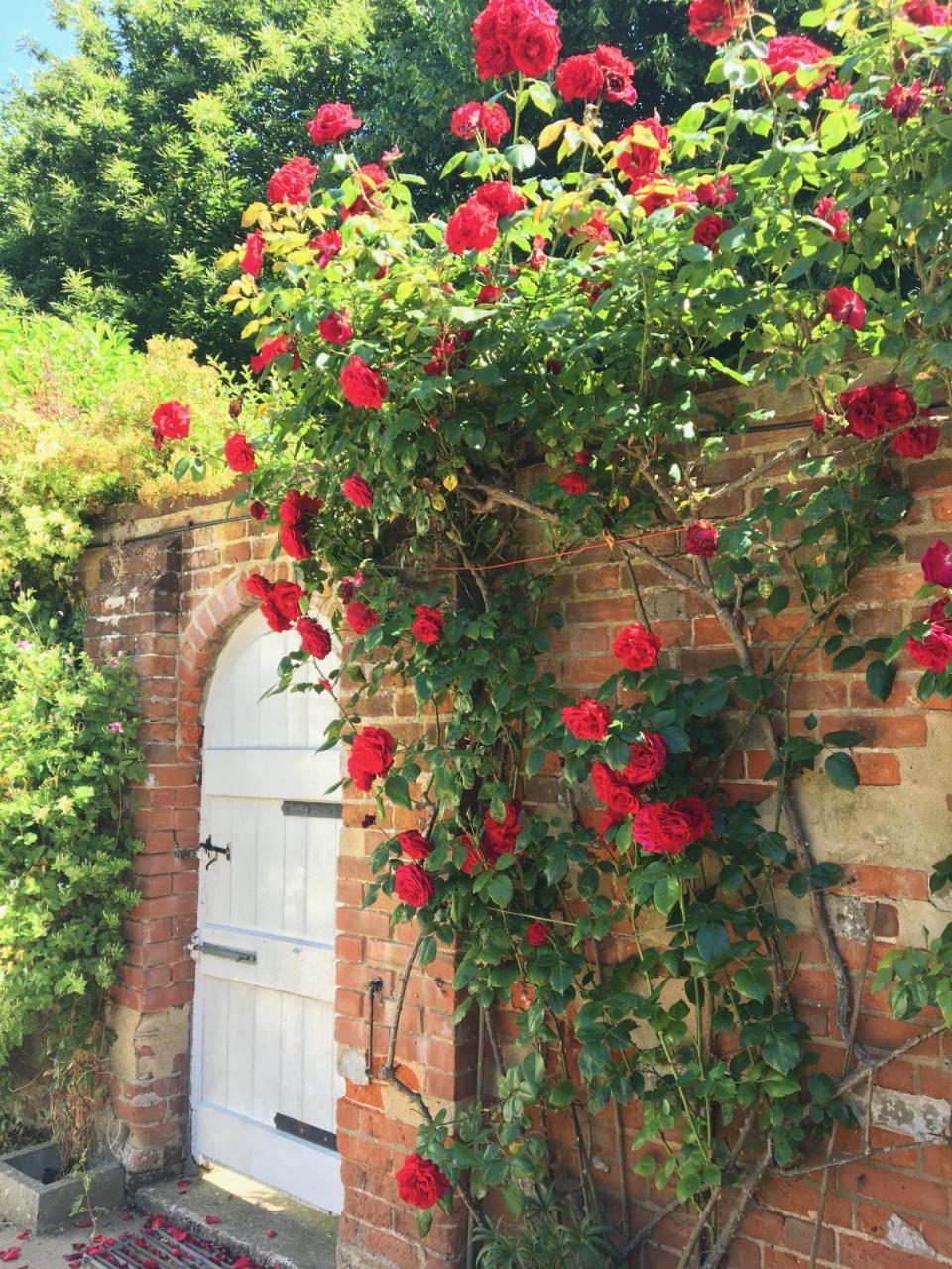 The Old Rectory B&B Kessingland Exterior photo